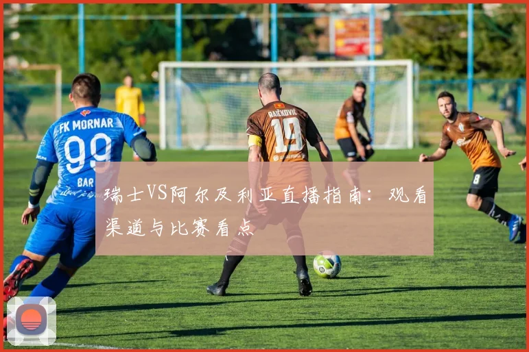 瑞士VS阿尔及利亚直播指南：观看渠道与比赛看点